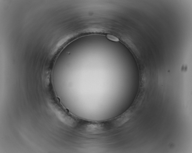 X0000111660160200907171619