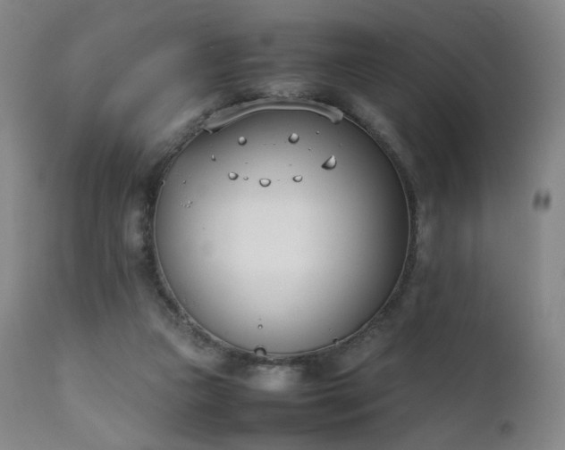 X0000111660161200907171619