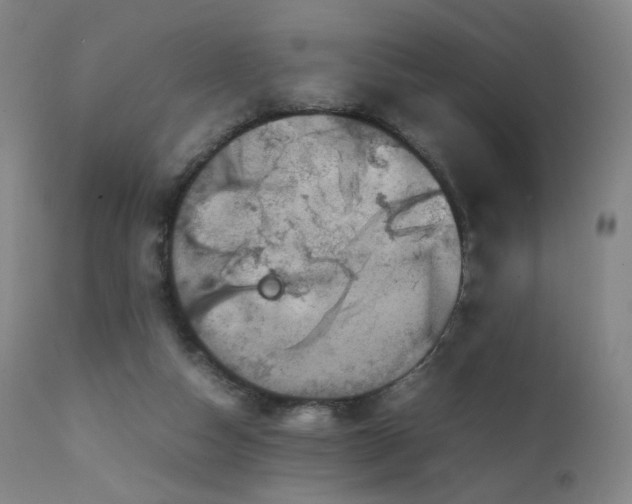 X0000111660162200907171619