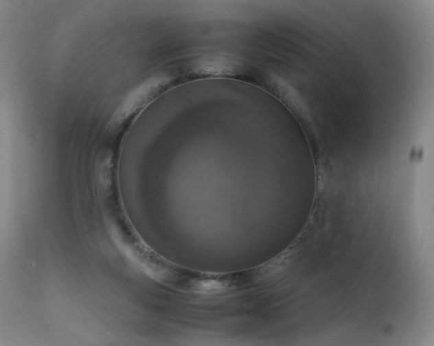 X0000111660163200907171619