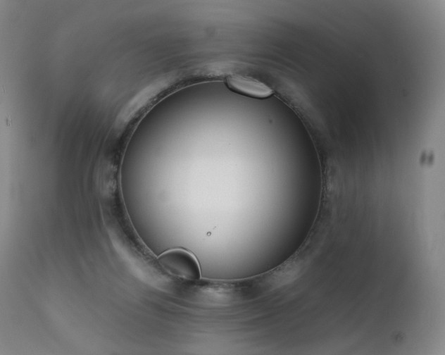 X0000111660164200907171619