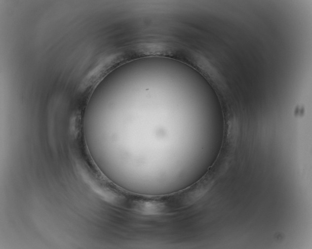 X0000111660165200907171619