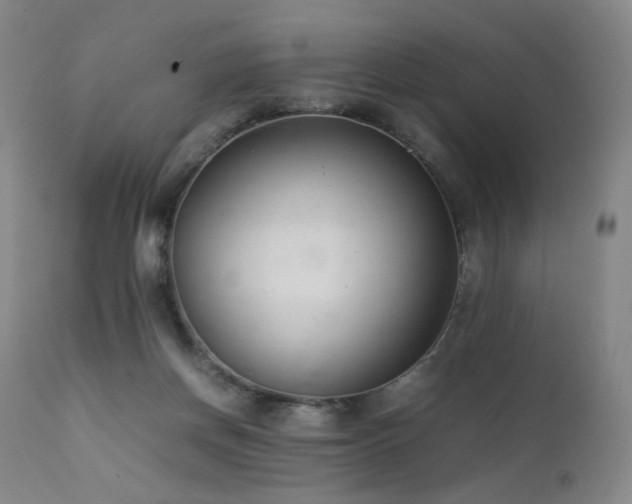X0000111660166200907171619