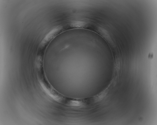 X0000111660167200907171619