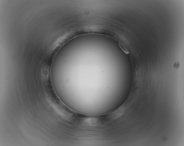 X0000111660168200907171619