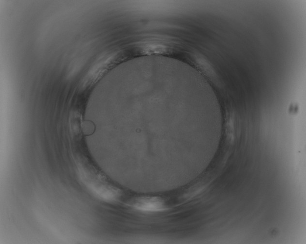 X0000111660169200907171619