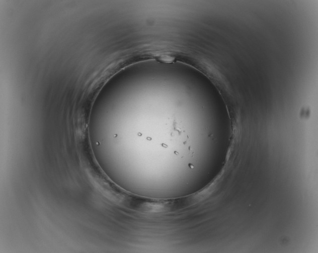 X0000111660170200907171619