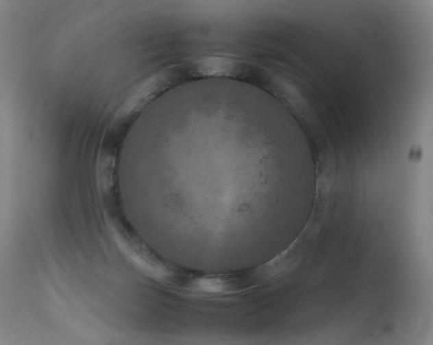 X0000111660171200907171619