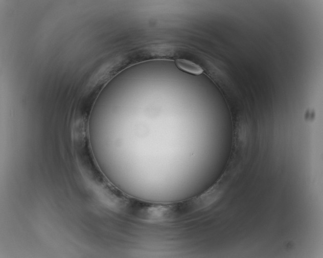 X0000111660172200907171619