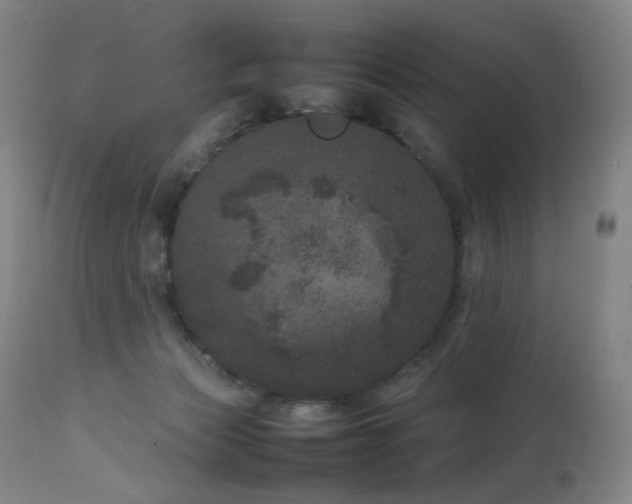 X0000111660173200907171619