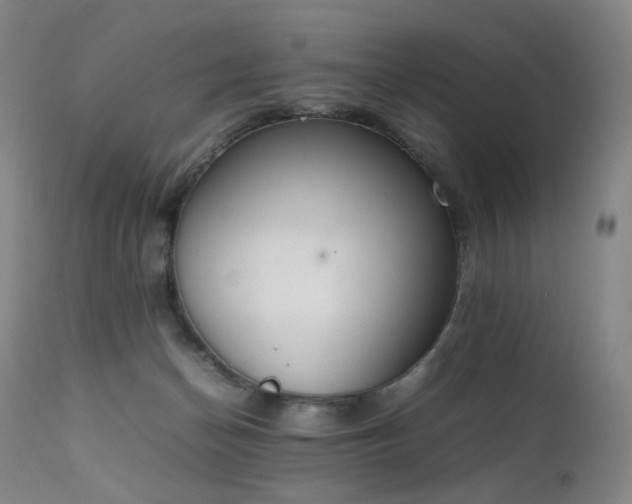 X0000111660174200907171619