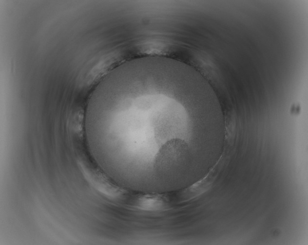 X0000111660175200907171619