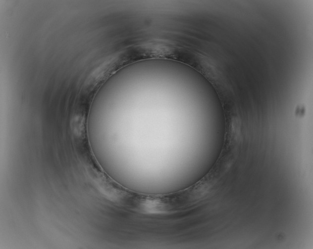 X0000111660177200907171619