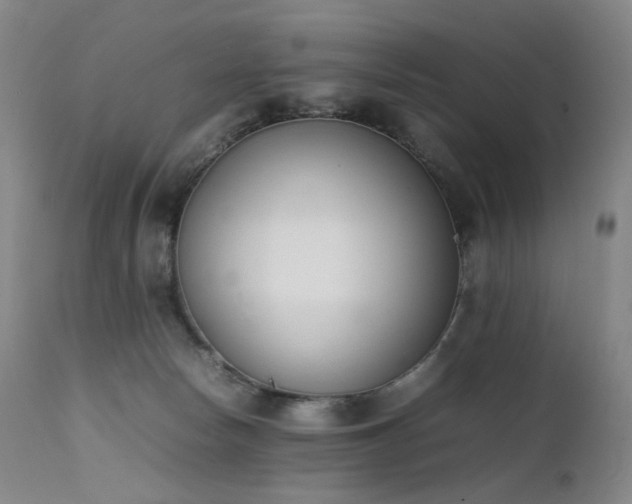 X0000111660178200907171619