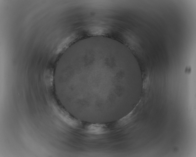 X0000111660179200907171619