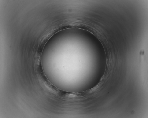 X0000111660180200907171619