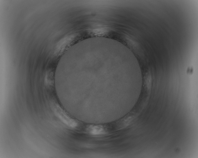 X0000111660181200907171619