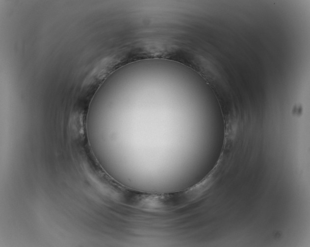X0000111660182200907171619