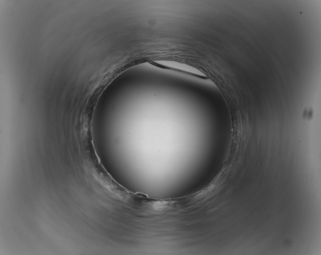 X0000111660184200907171619