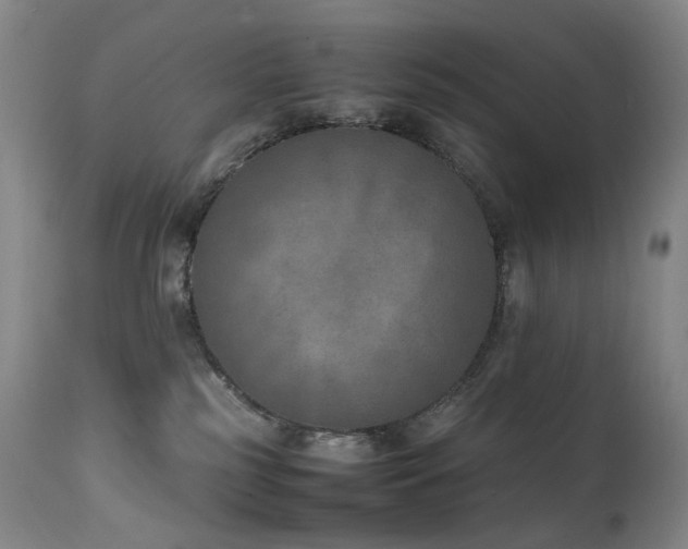 X0000111660185200907171619