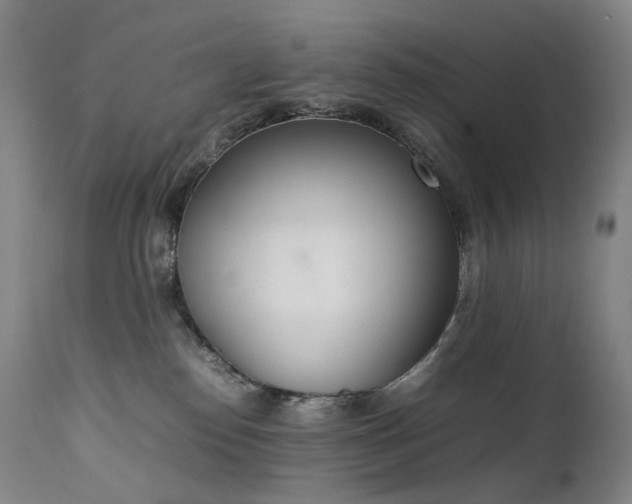 X0000111660186200907171619