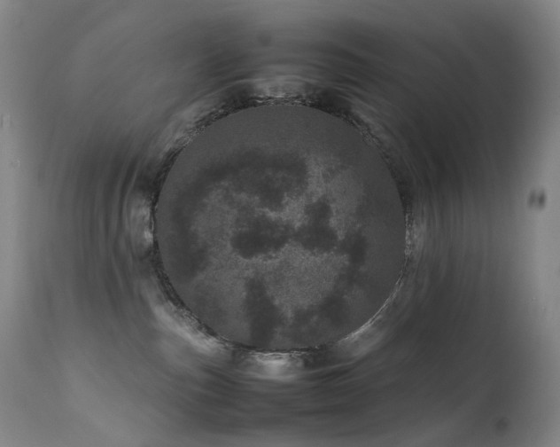 X0000111660187200907171619