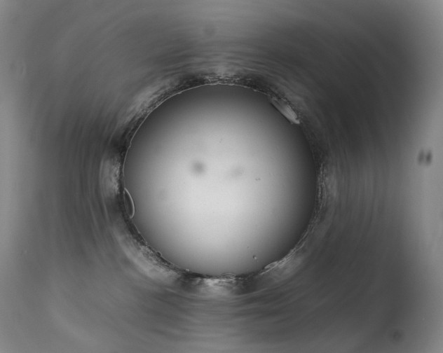 X0000111660188200907171619