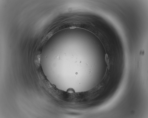 X0000111660190200907171619