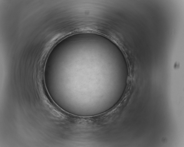 X0000111660193200907171619
