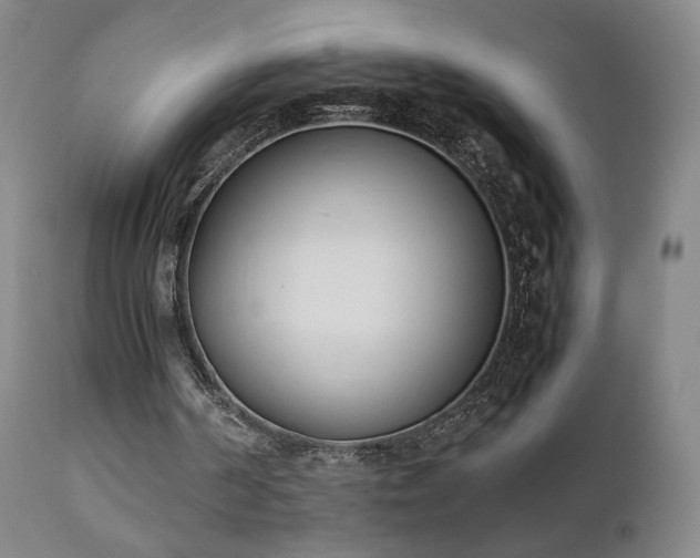 X0000111660194200907171619