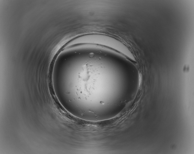 X0000111660195200907171619