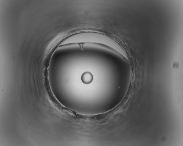 X0000111660197200907171619