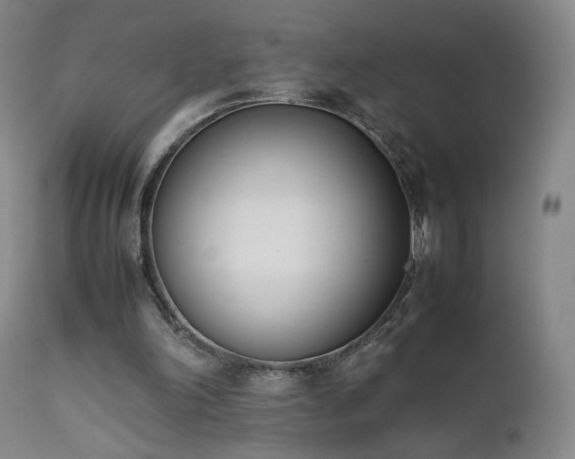 X0000111660198200907171619