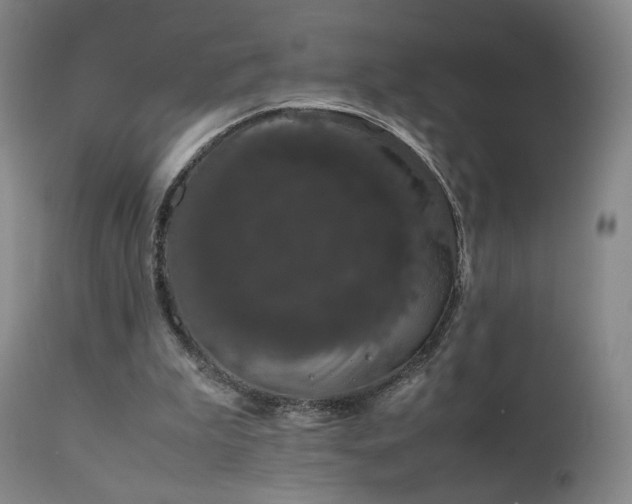 X0000111660199200907171618