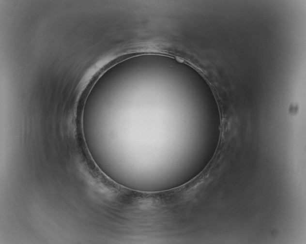 X0000111660200200907171618