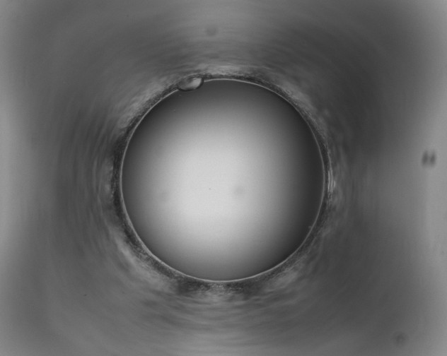 X0000111660201200907171618
