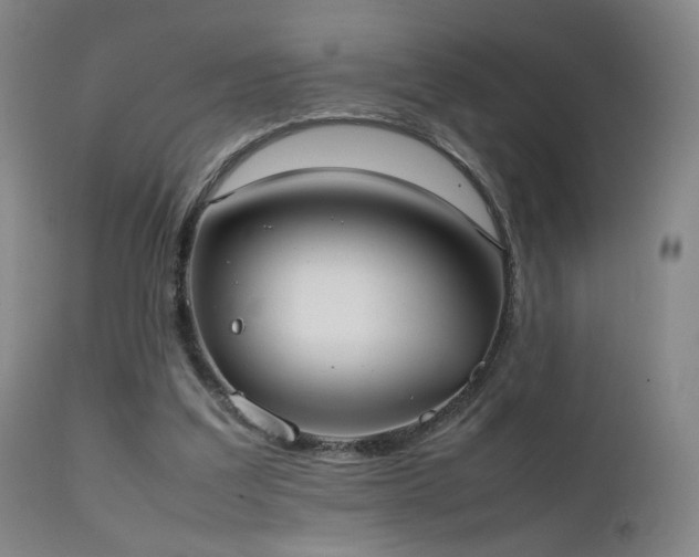 X0000111660203200907171618