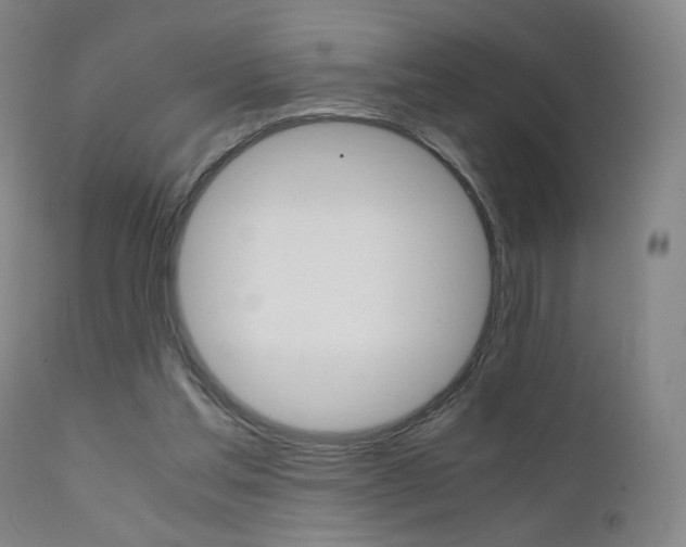 X0000111660205200907171618