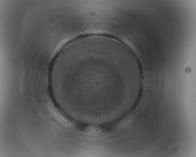 X0000111660207200907171618