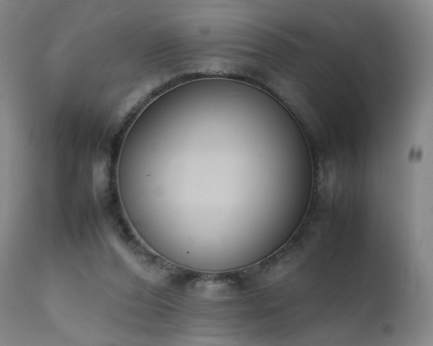 X0000111660208200907171618