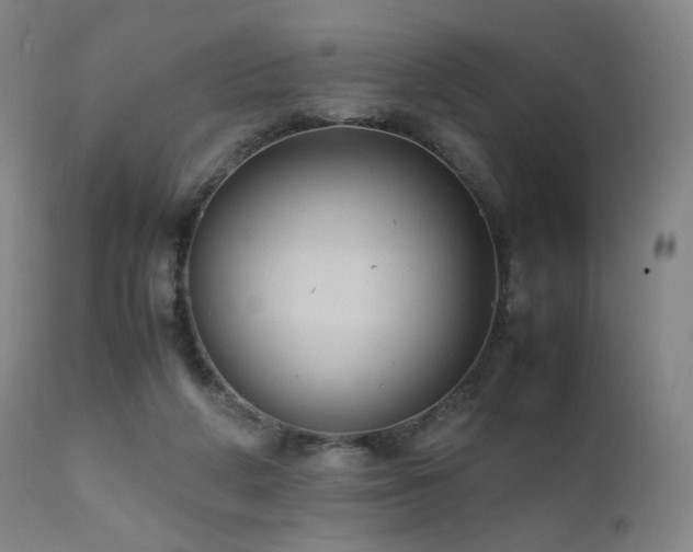 X0000111660210200907171618