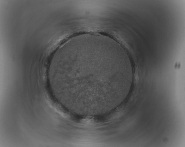 X0000111660211200907171618