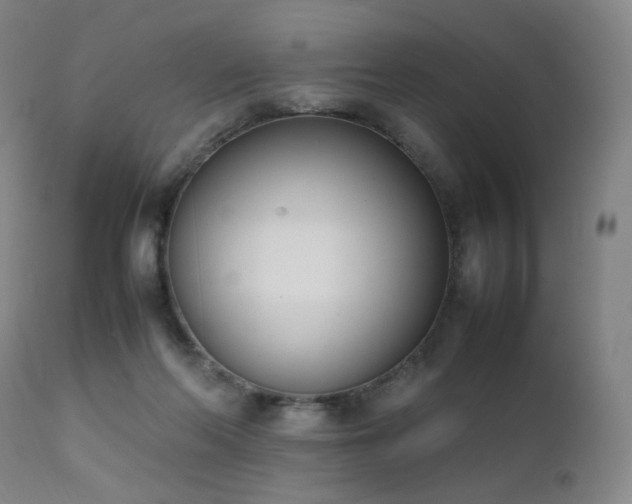 X0000111660214200907171618