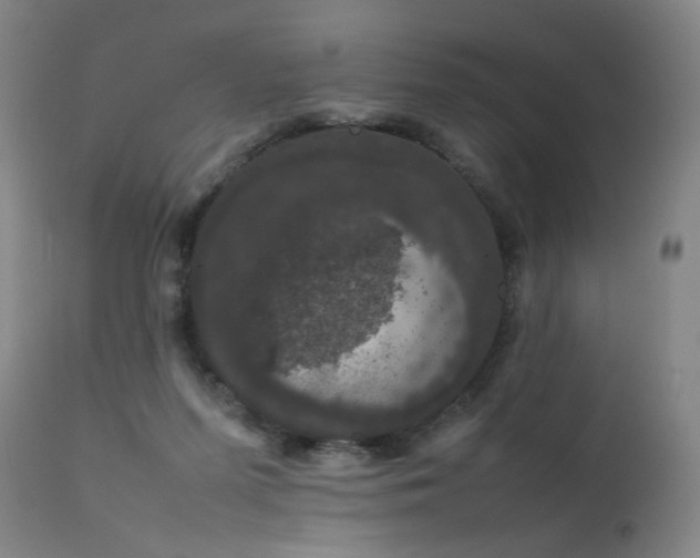 X0000111660215200907171618