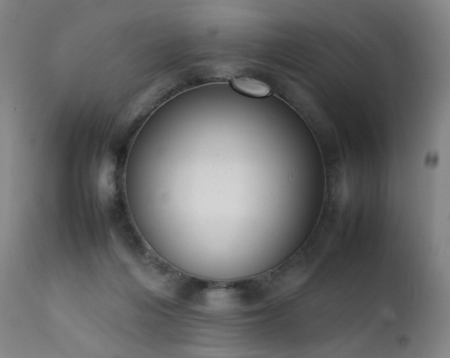 X0000111660216200907171618