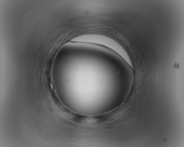 X0000111660217200907171618