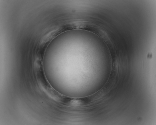 X0000111660218200907171618