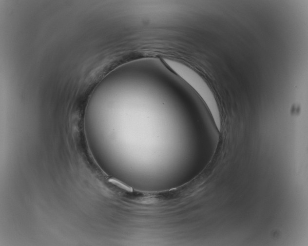 X0000111660219200907171618