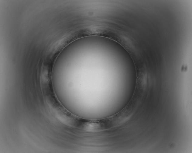 X0000111660220200907171618