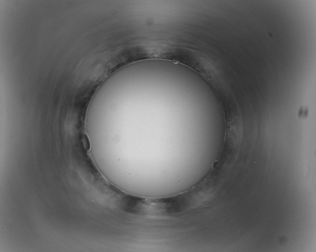 X0000111660221200907171618